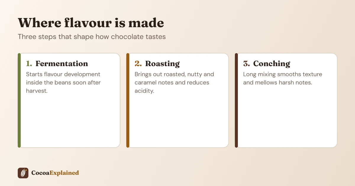 Infographic of the three steps that shape chocolate flavour: fermentation, roasting and conching