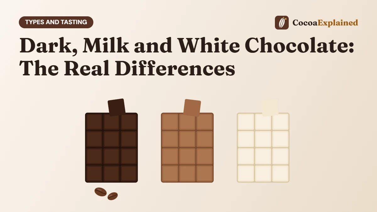 Dark, Milk and White Chocolate: The Real Differences. Illustration of three chocolate bars