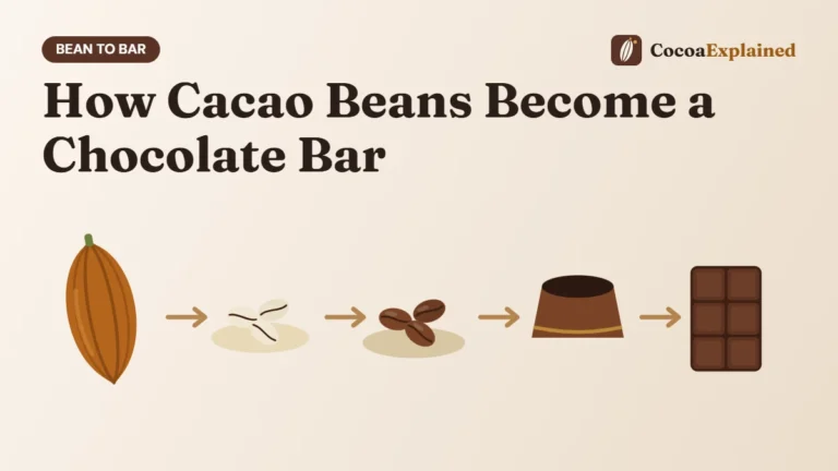 How Cacao Beans Become a Chocolate Bar. Illustration of the steps from cacao pod to chocolate bar